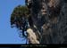 20131201_falaisesssserredetourre3
