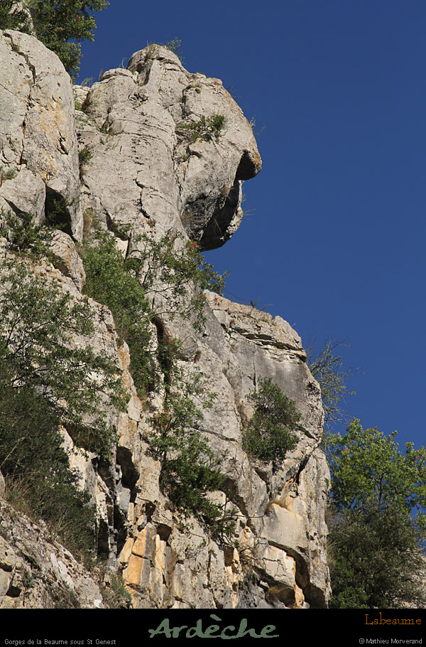 20110827_labeaume_chamontin_gorgesdelabeaumessstgenest3