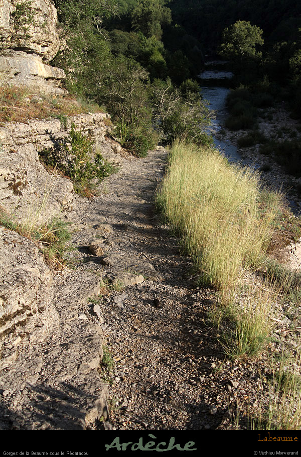 20110827_labeaume_gorgesdelabeaume_sentierssstgenest6