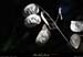 20110827_labeaume_chamontin_bois1