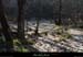 20111228_labeaume_rgamvillage1
