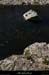 20111228_labeaume_rivieressrecatadou1