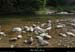 20120528_labeaume_gorgesenamontduvillage05