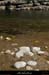 20120528_labeaume_riviereenamontduvillage1