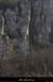 20130303_gorgesbeaume_falaisesfadesparlen1