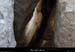 20130303_gorgesbeaume_grottesschamontin1