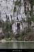 20140216_gorgesbeaume_falaisesschampagnac1.