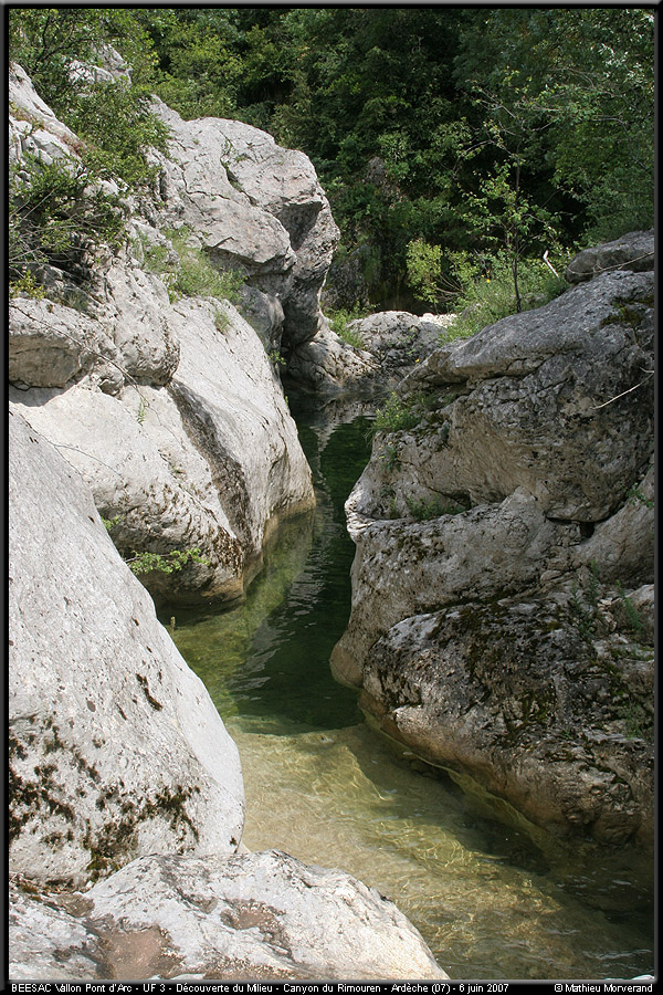 20070606_rimouren03