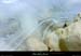 20030215_ruisseaudurimouren_glace_06