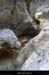 20030222_gorgesdurimouren_canyon_16