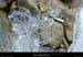 20030222_gorgesdurimouren_canyon_glace_05