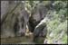 20070606_rimouren19