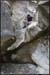 20070606_rimouren24