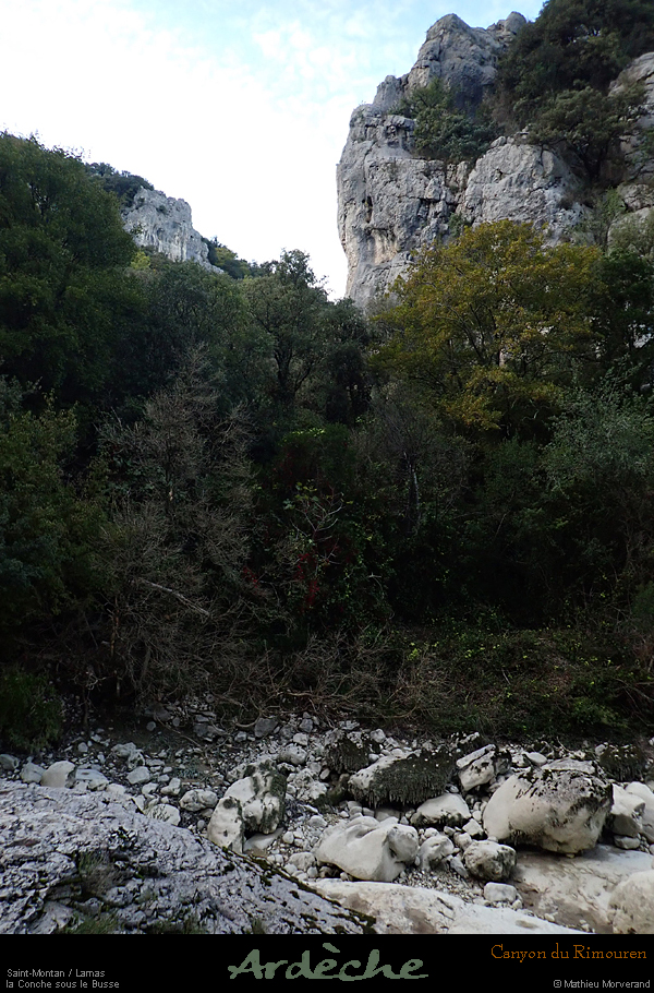 20191110_096
