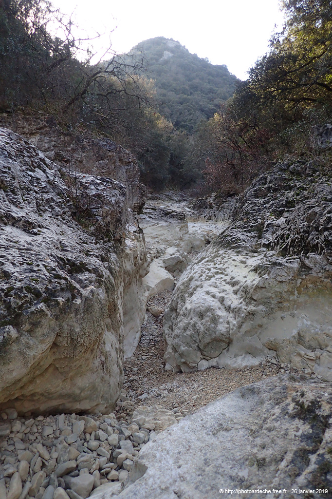 20190126_019