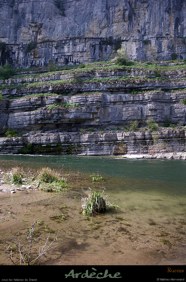 20100410_rapidegrazel5