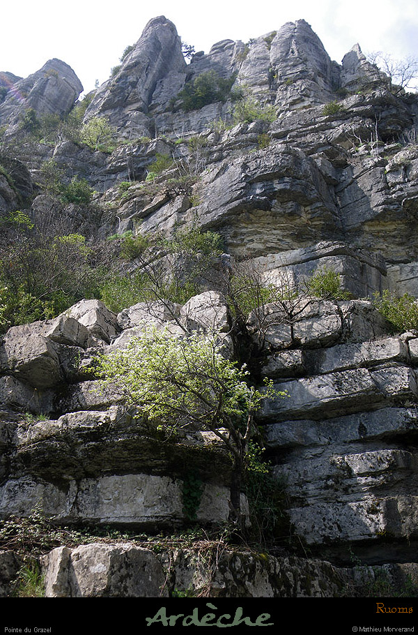 20100410_pointedugrazelfalaise