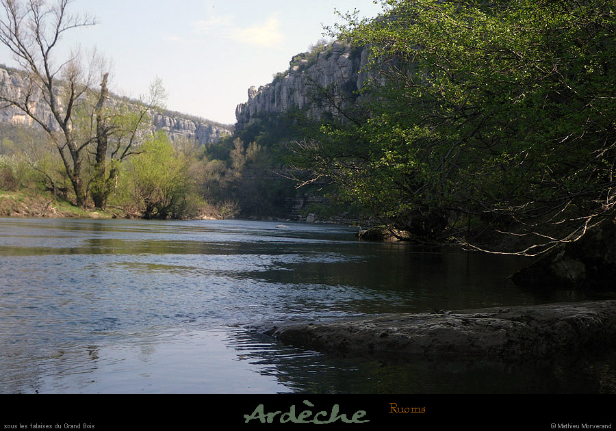 20100410_cirquegensparav3