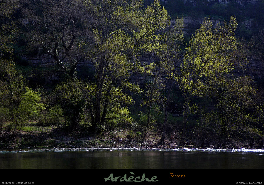 20100410_ssfalaisespetitbois_meandre2