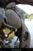 20190803_rivessgrdbois2
