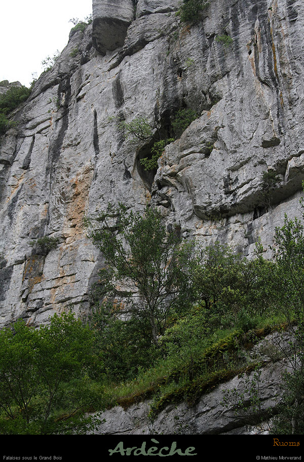 20130601_avcirquegens_falaisesssgrdbois