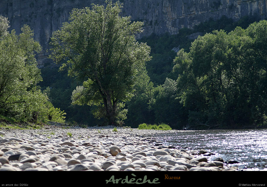 20110501_ruoms_amconfluence_05