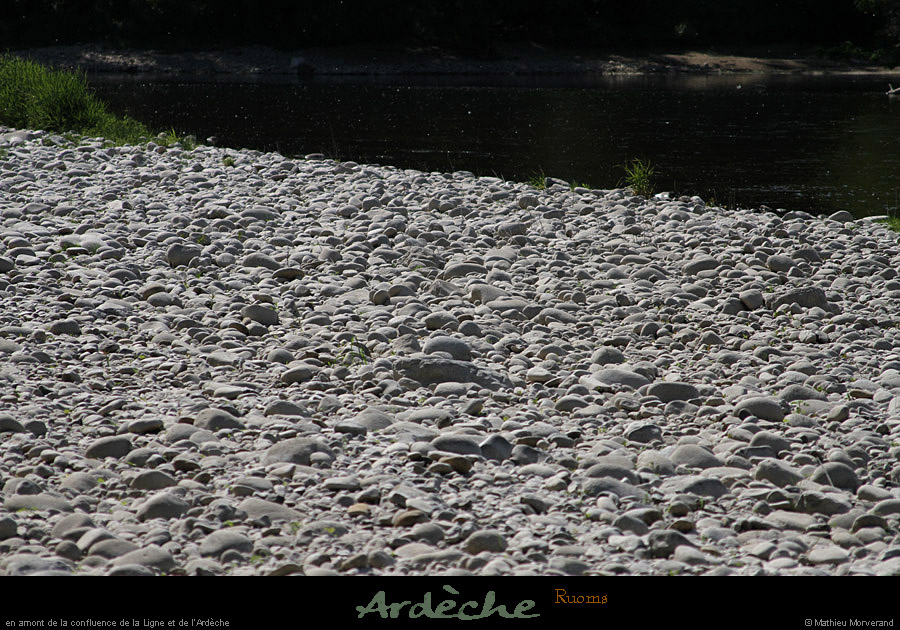 20110501_ruoms_amconfluence_13