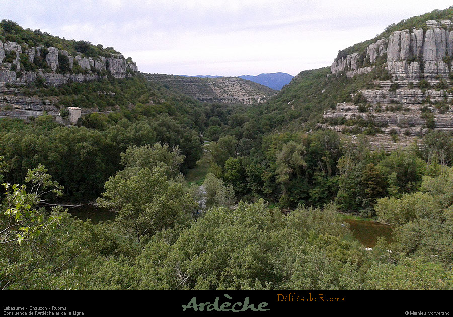20130825_ruoms_gorgesardechedepuisviressgrdbois_01