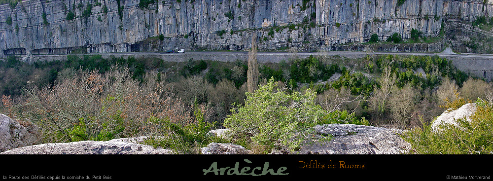 20001228_defiles_pano