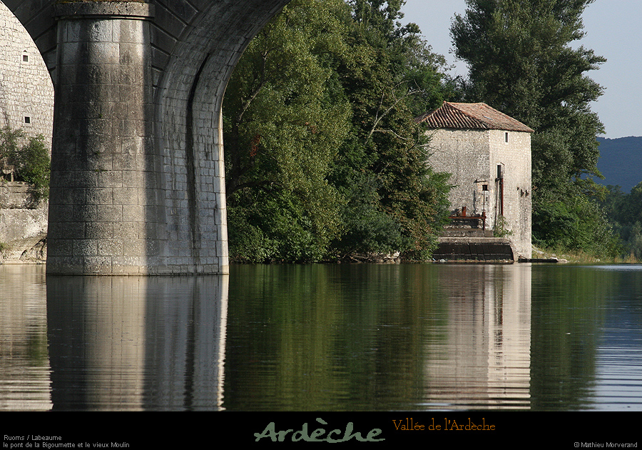 20080807_ptbigournette
