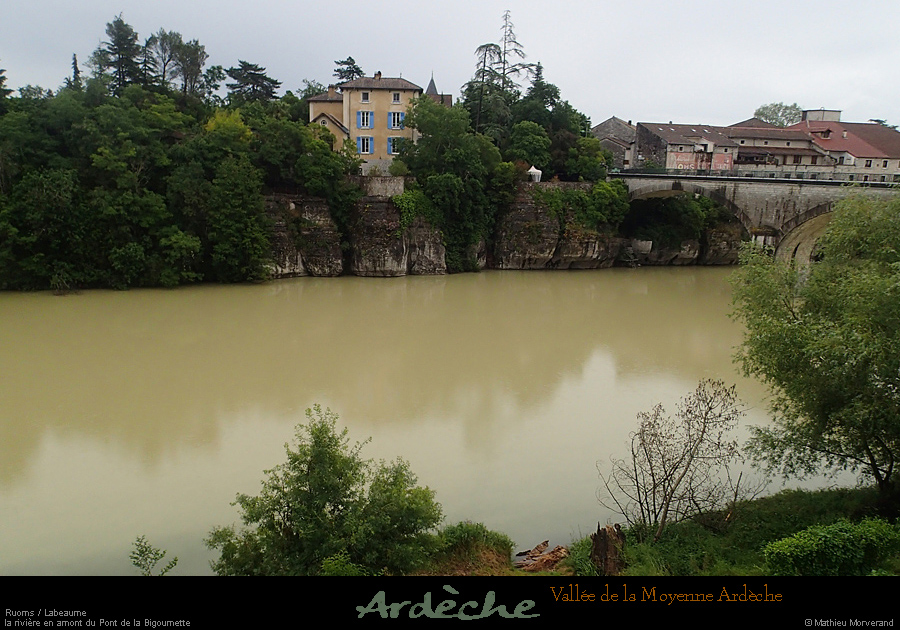 20160529_bigournette