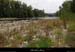 20130928_labeaume_avalbigournette_rivesdardeche2