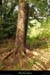 20130928_labeaume_rivesdardeche26