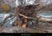 20141123_ardecheamconfluencebeaume10