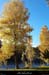 20191125_154619