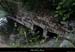 20150523_confluencechassezac_ardeche