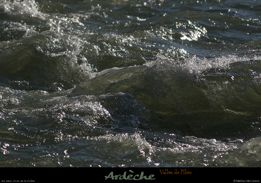 20061118_ibie_riviere