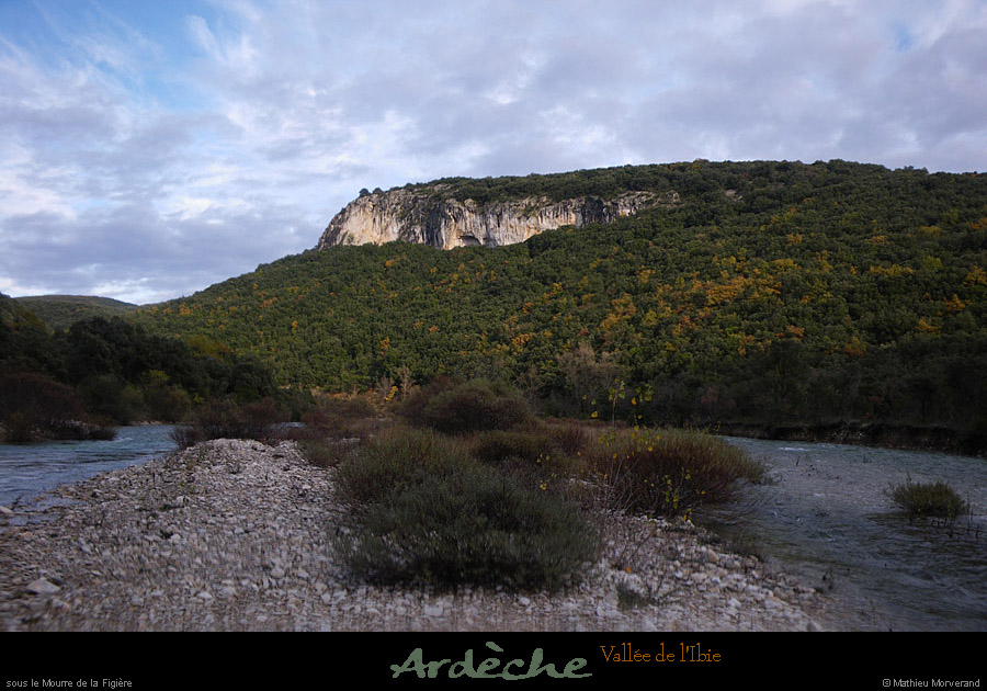 20101121_ibie36