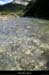 20130520_ibie_sslegrdchambon2
