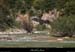 20130526_lagorce_ibie_rapidebaravon08