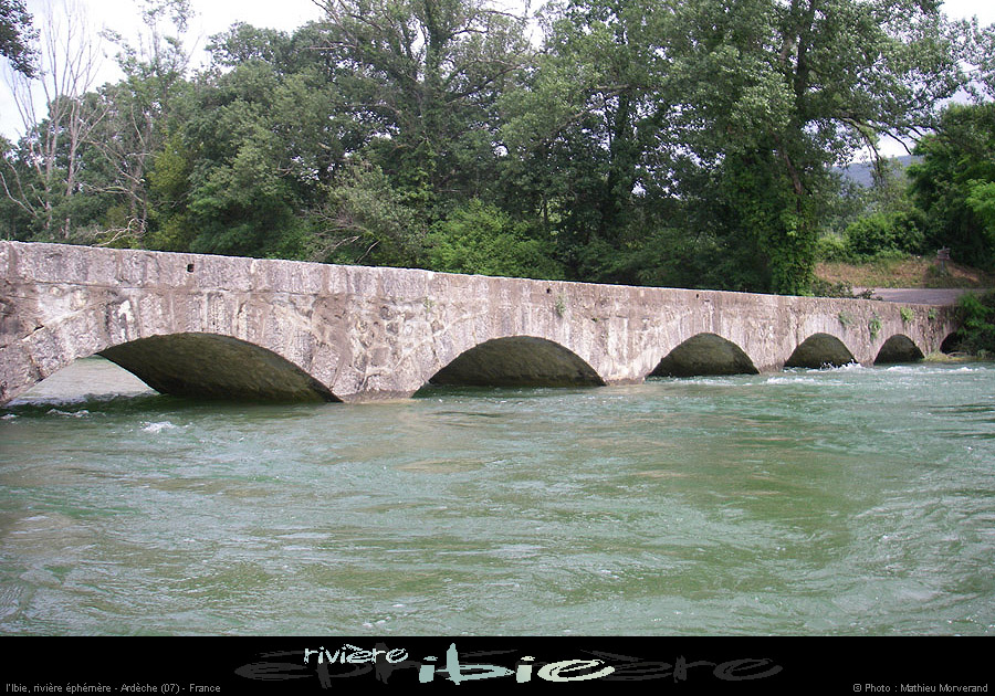 20080531ibie_046