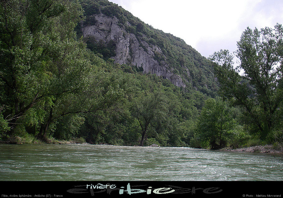 20080531ibie_062
