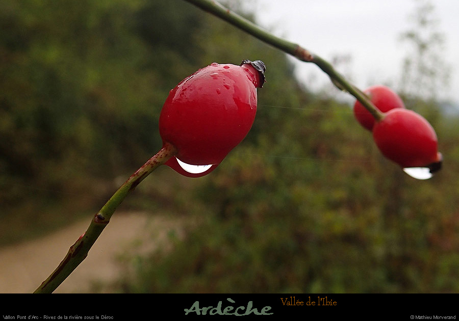 20131015_vpa_valleibiessderoc2
