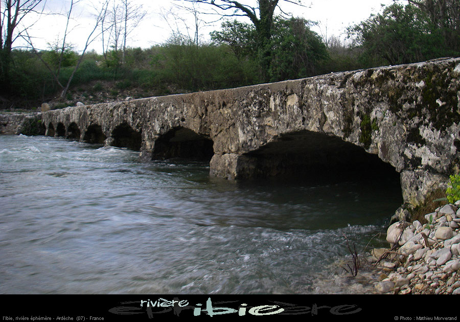 20080421ibie139