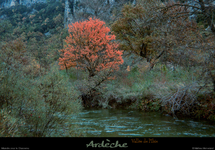19861100_ibieeneaucouleurdautomne
