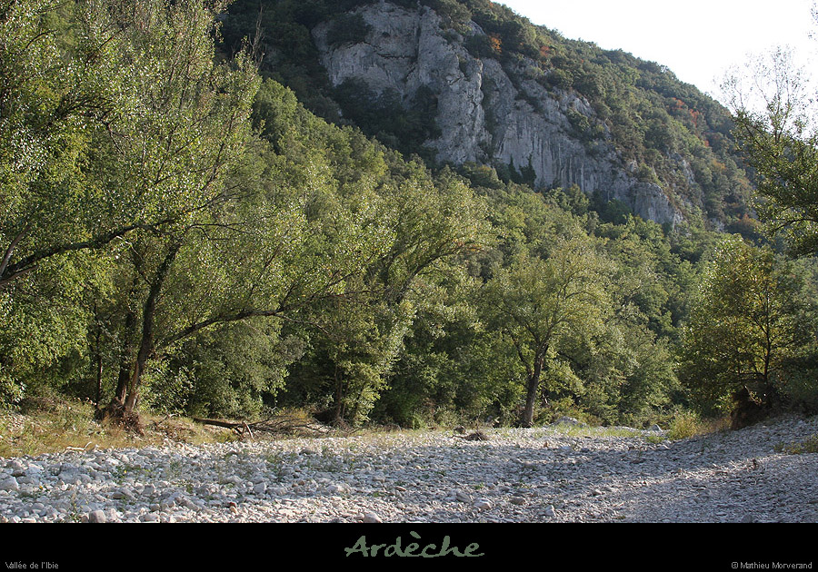 20070922_ibie2