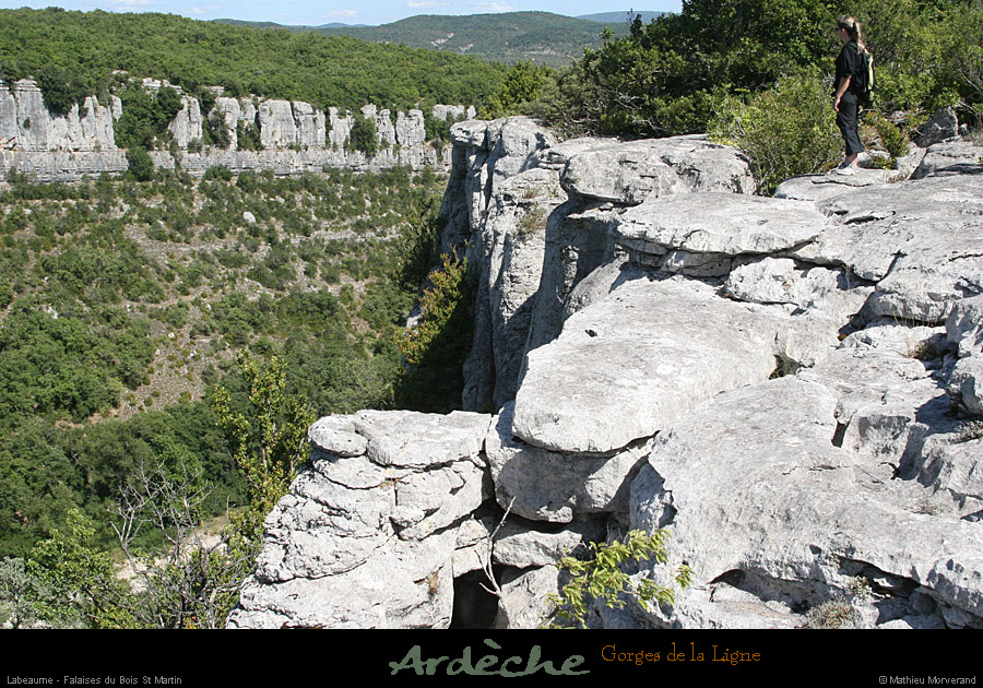 20090718_boisstmartin_bordsfalaisesligne8