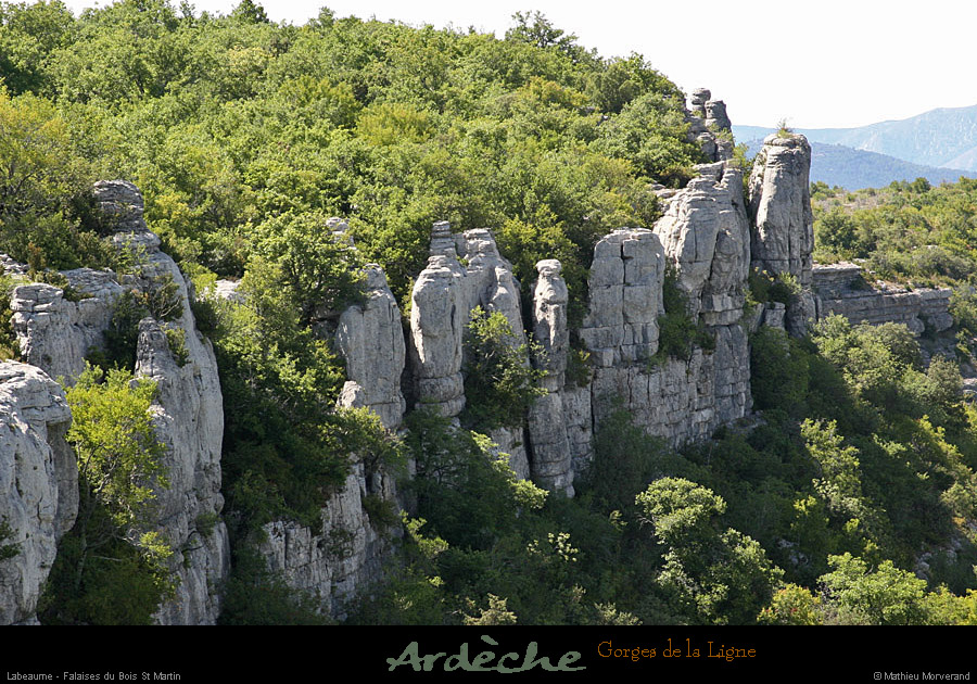 20090718_boisstmartin_falaisesligne2