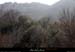 20130302_gorgesligne_labeaume_falasesboisstmartinparlen1