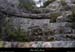 20130302_gorgesligne_labeaume_meandresslesavel_falaise5